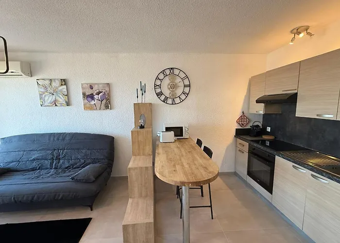 Appartement 06do Beau Rénové Face à La Antibes